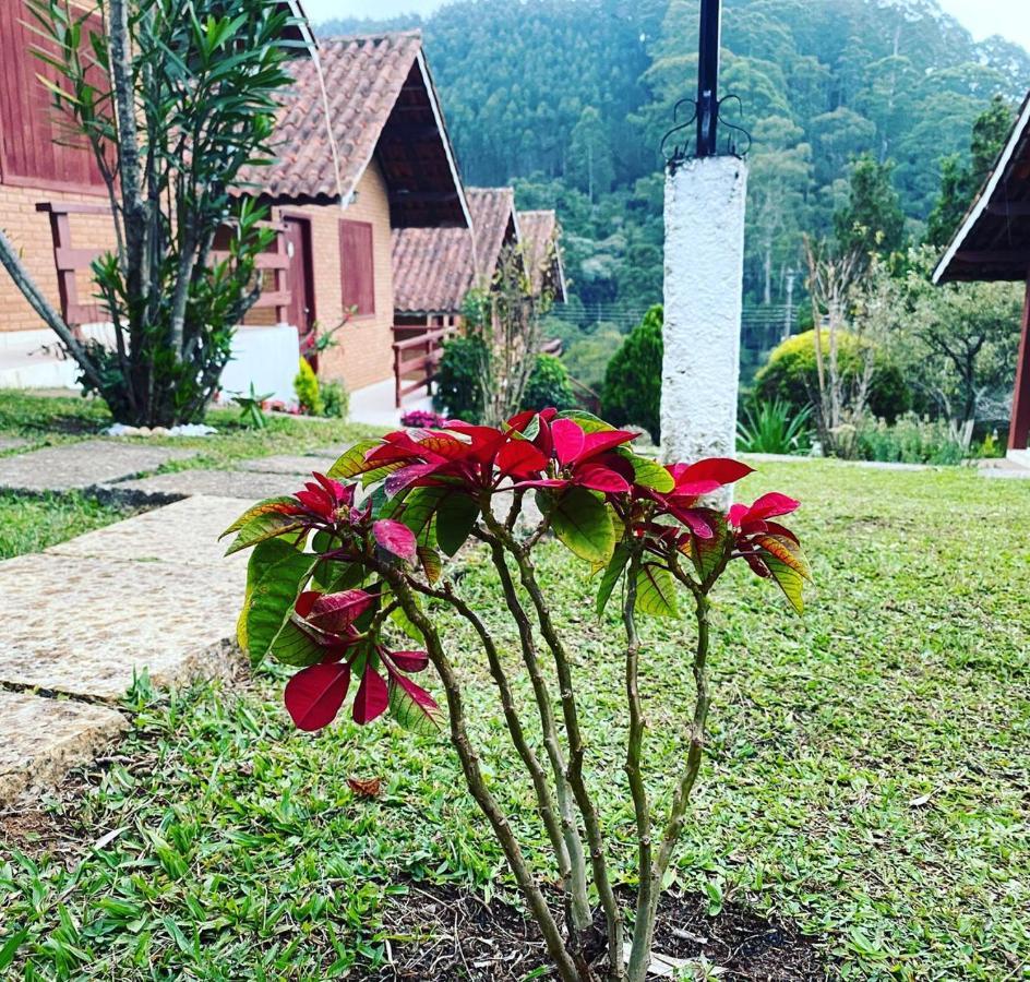 Chales Encantus Villa Monte Verde  Dış mekan fotoğraf