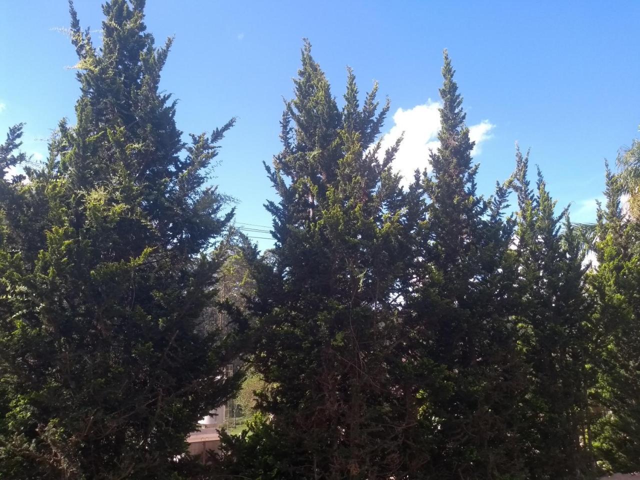 Chales Encantus Villa Monte Verde  Dış mekan fotoğraf
